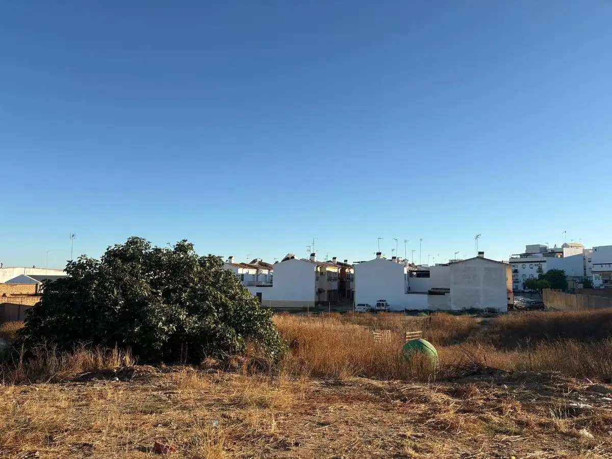 Terrenos y solares en venta en Bollullos Par del Condado, imagen 11