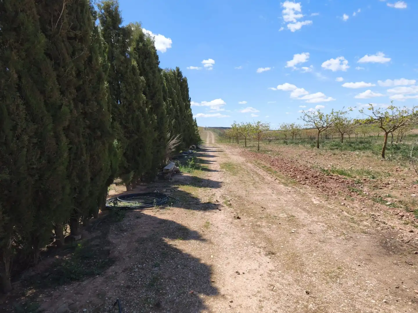 Finca rústica en venta en Alcázar de San Juan