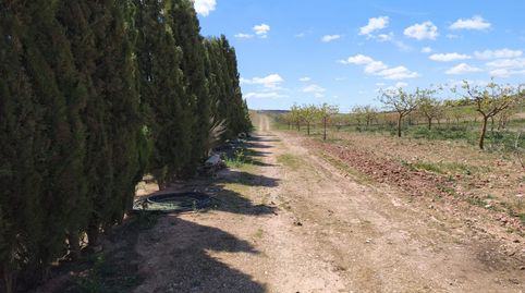 Foto 3 de Finca rústica en venda a Alcázar de San Juan, Ciudad Real