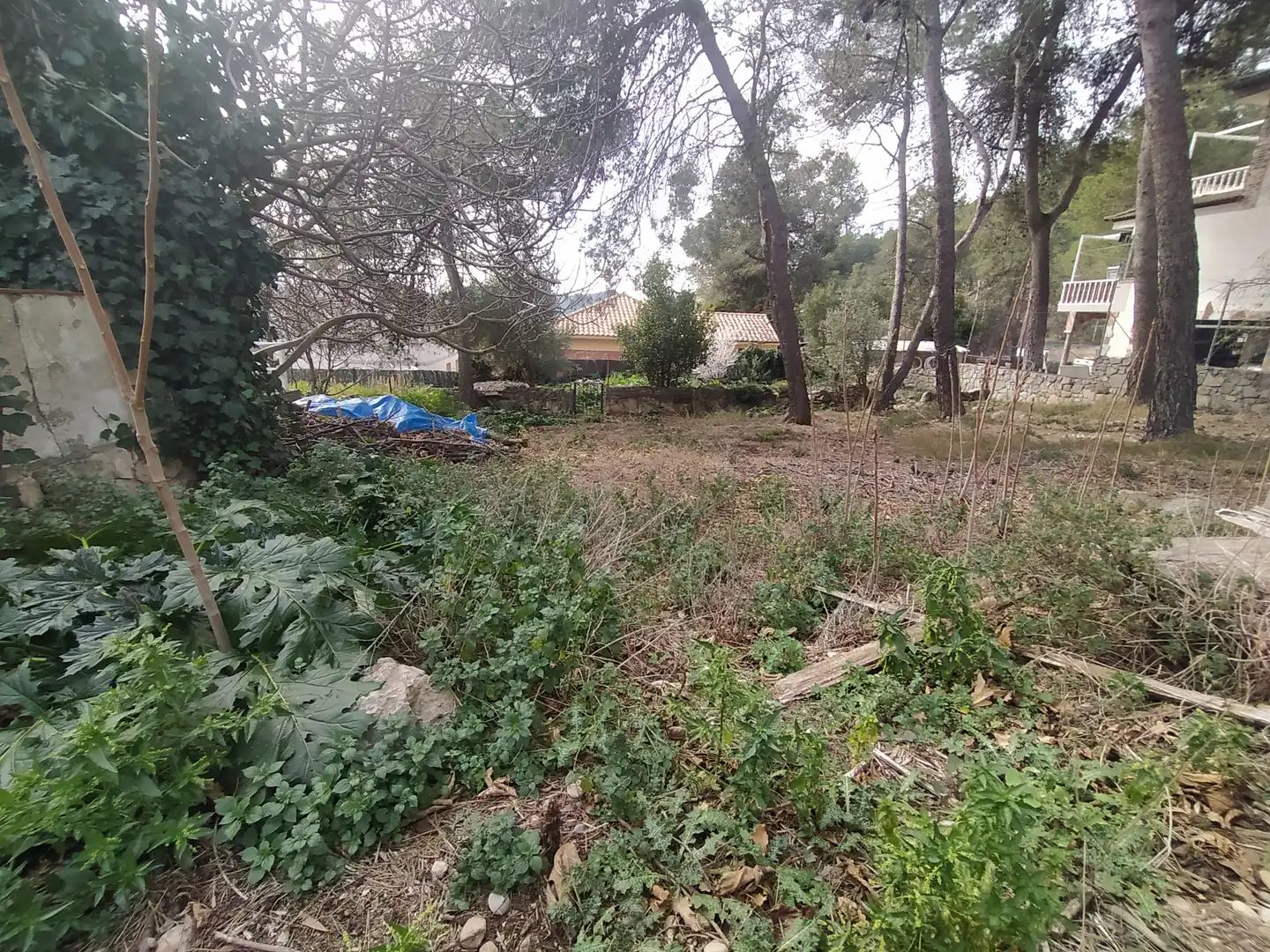 Terreny residencial en venda a Camí de la Creu de l'Aragall 1, imagen 3