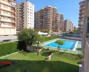 Swimming pool of Apartment to rent in Benicasim / Benicàssim  with Terrace and Community pool