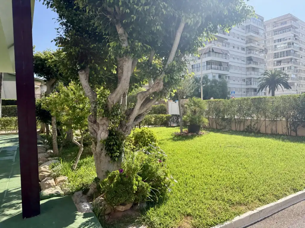 Apartment with lift to rent in Torreón - La Almadraba, imagen 20