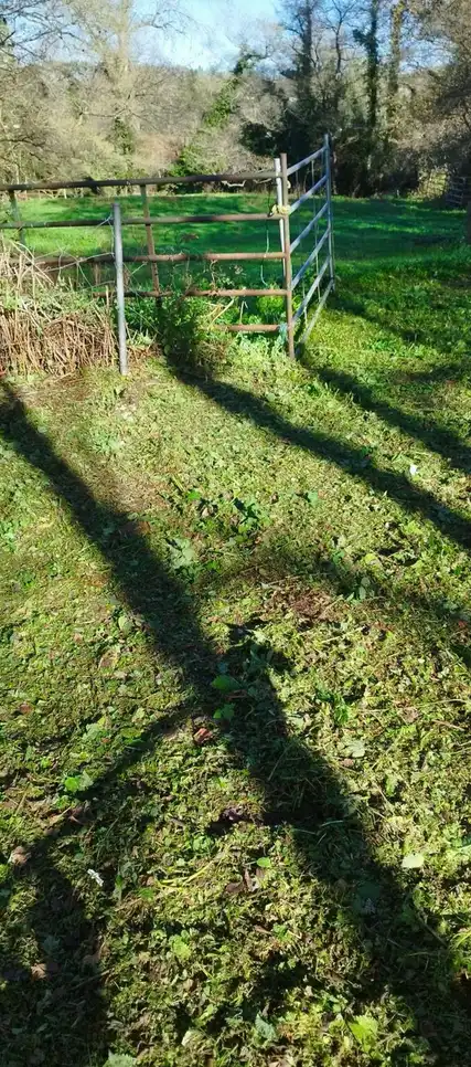 Lands and plots for sale in Aldea la Cangueta, imagen 18