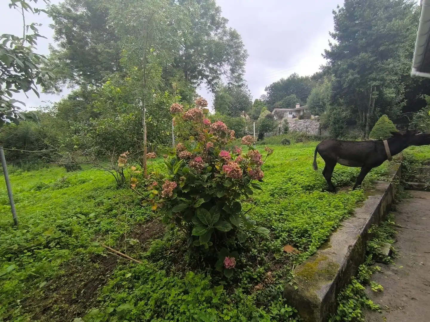 Country house zum Verkauf in Galdames mit Privatgarten, Terrasse und Balkon
