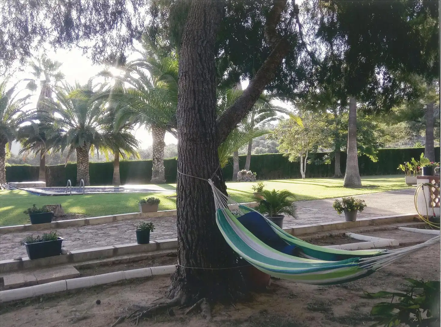 Jardín de Finca rústica en venta en Amposta