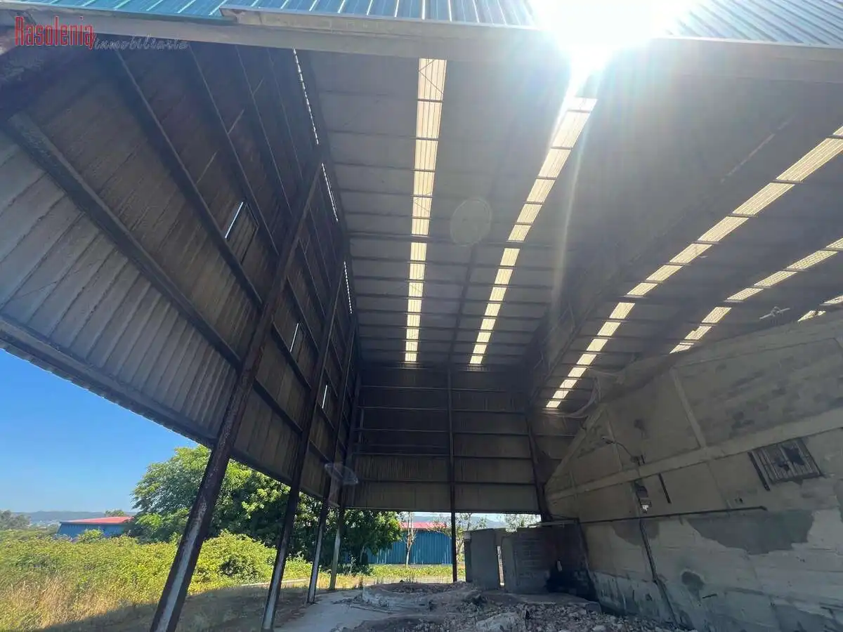 Industriegebäude zum Verkauf in Ribo 6, imagen 18