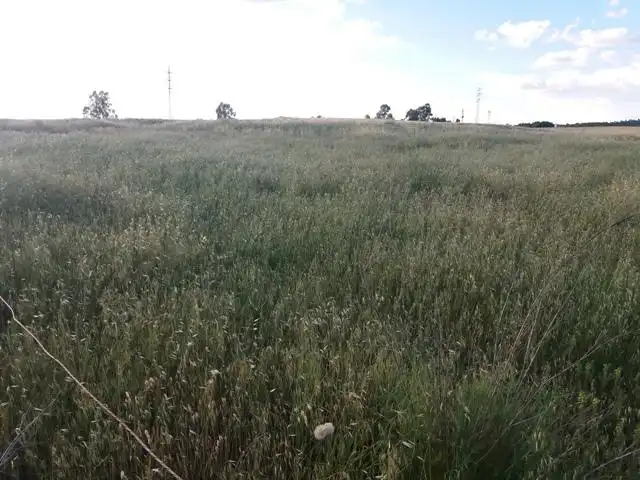 Grundstücke und Bauplätze zum Verkauf in Belmez, imagen 3