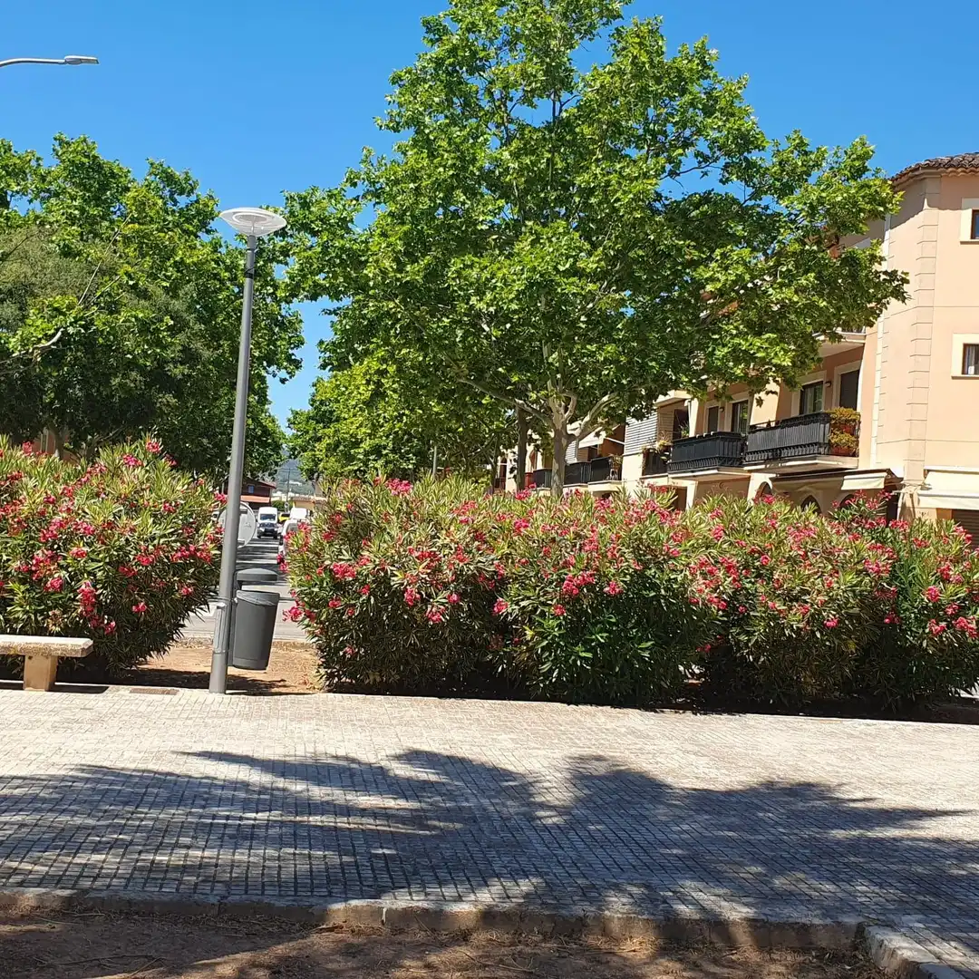 Vista exterior de Local de alquiler en  Palma de Mallorca con Aire acondicionado y Amueblado