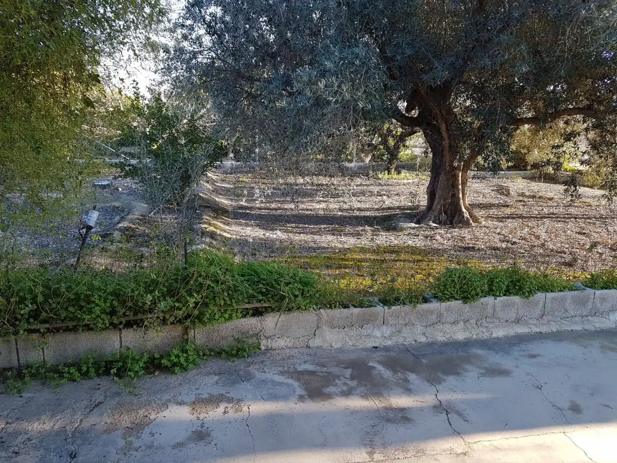 Finca rústica en venta en Ulea