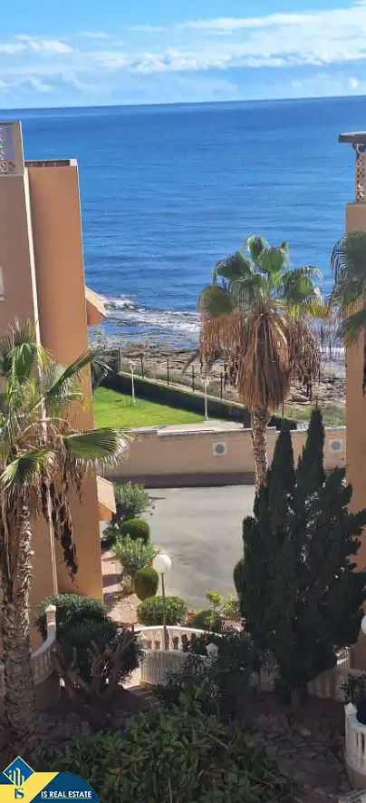 Vista exterior de Estudi en venda en Torrevieja amb Aire condicionat, Calefacció i Terrassa
