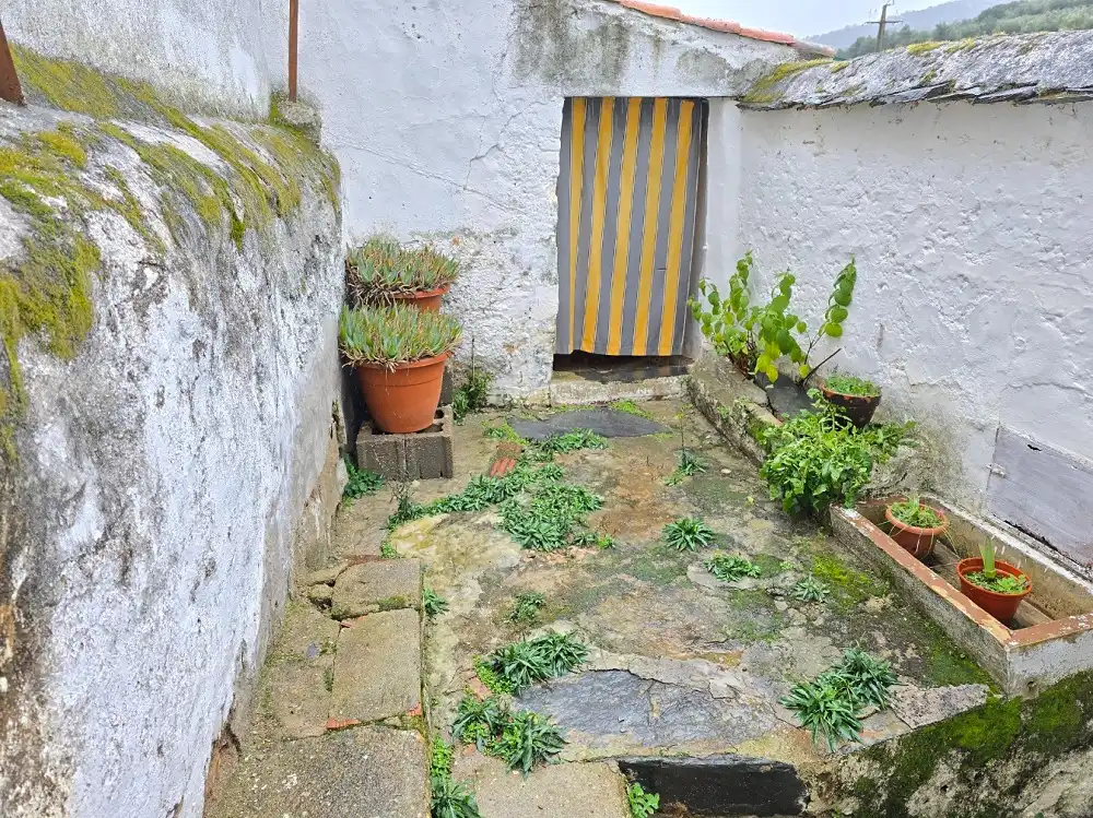 Jardí de Casa o xalet en venda en Aliseda amb Traster