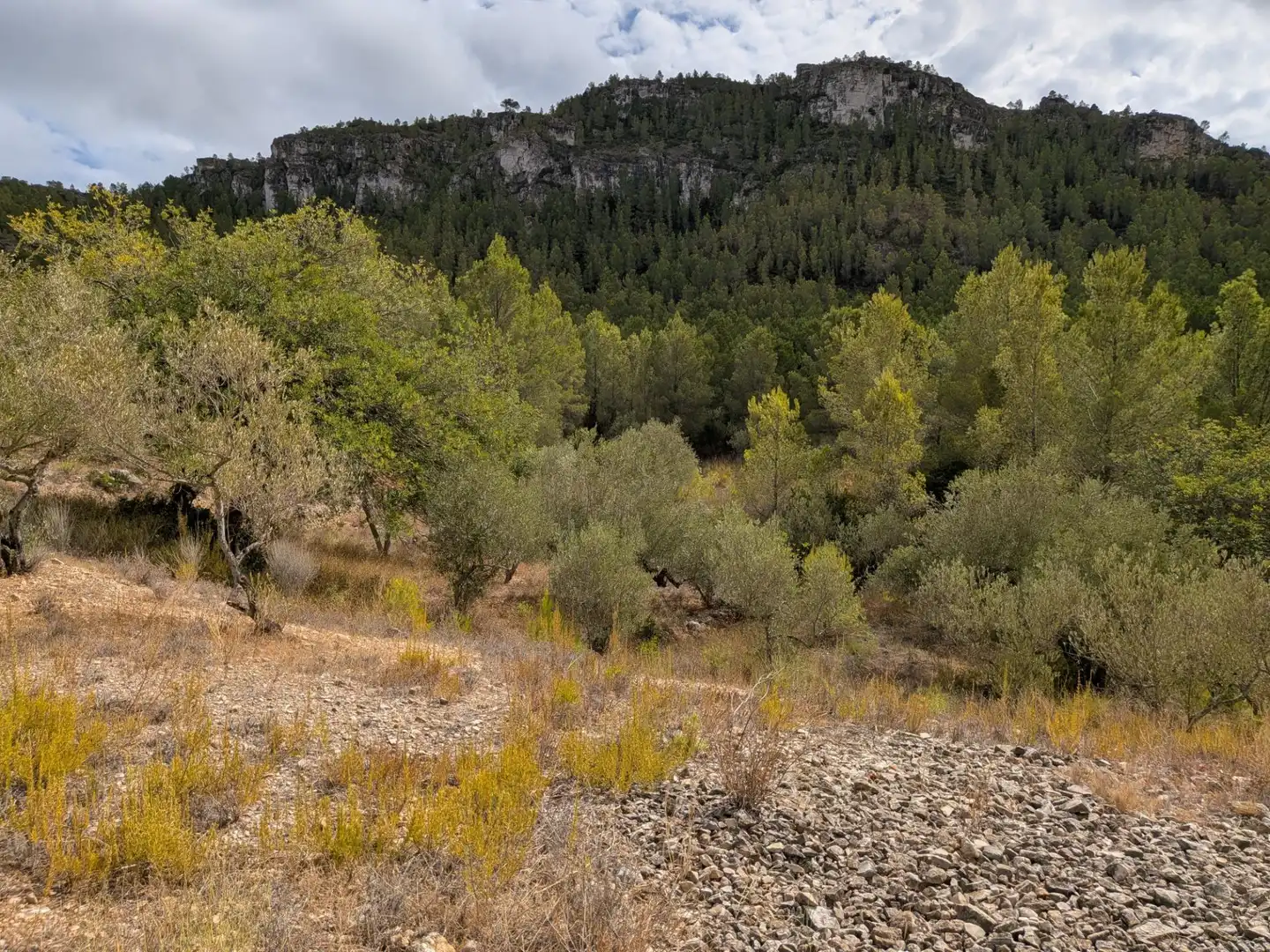 Maison rustique à vendre à Camino  Tivissa 51, imagen 51