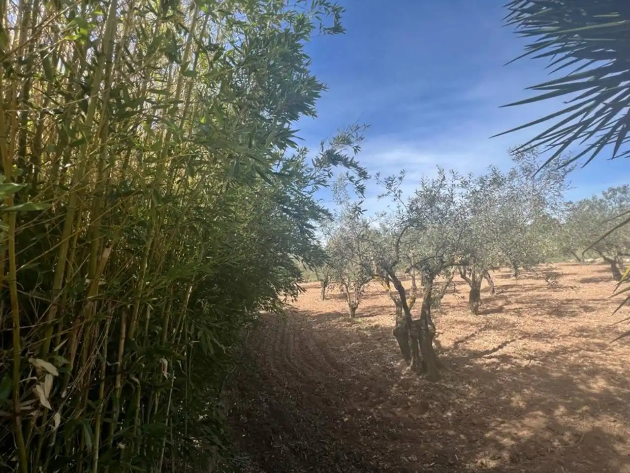 Chalet con jardín en venta en Calle Poligono, imagen 154