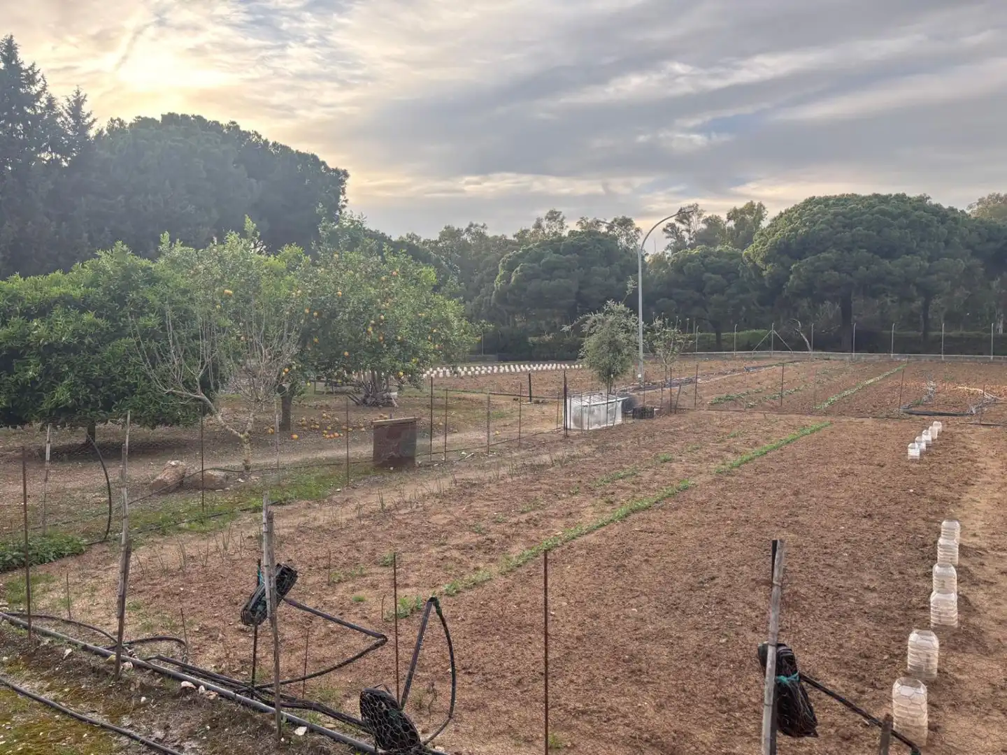 Casa rústica en venda a Arcos de la Frontera, imagen 31