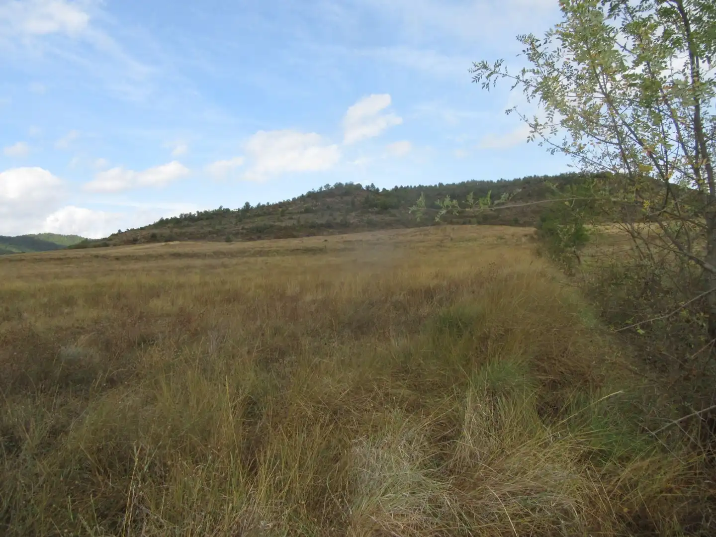 Nave industrial en venta en Jaca, Huesca