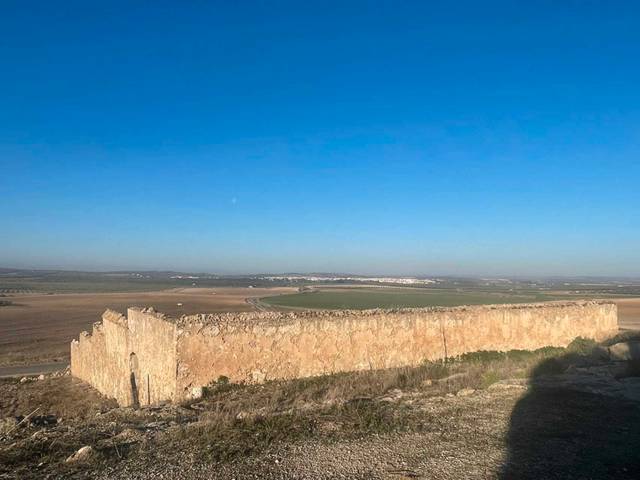 Terreno en Venta en Marinaleda