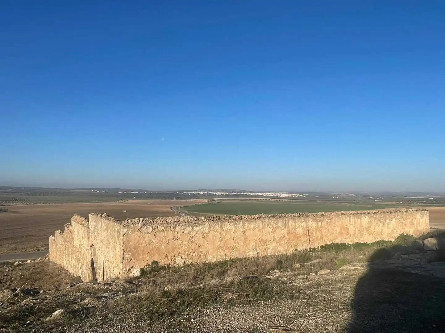 Lands and plots for sale in Marinaleda