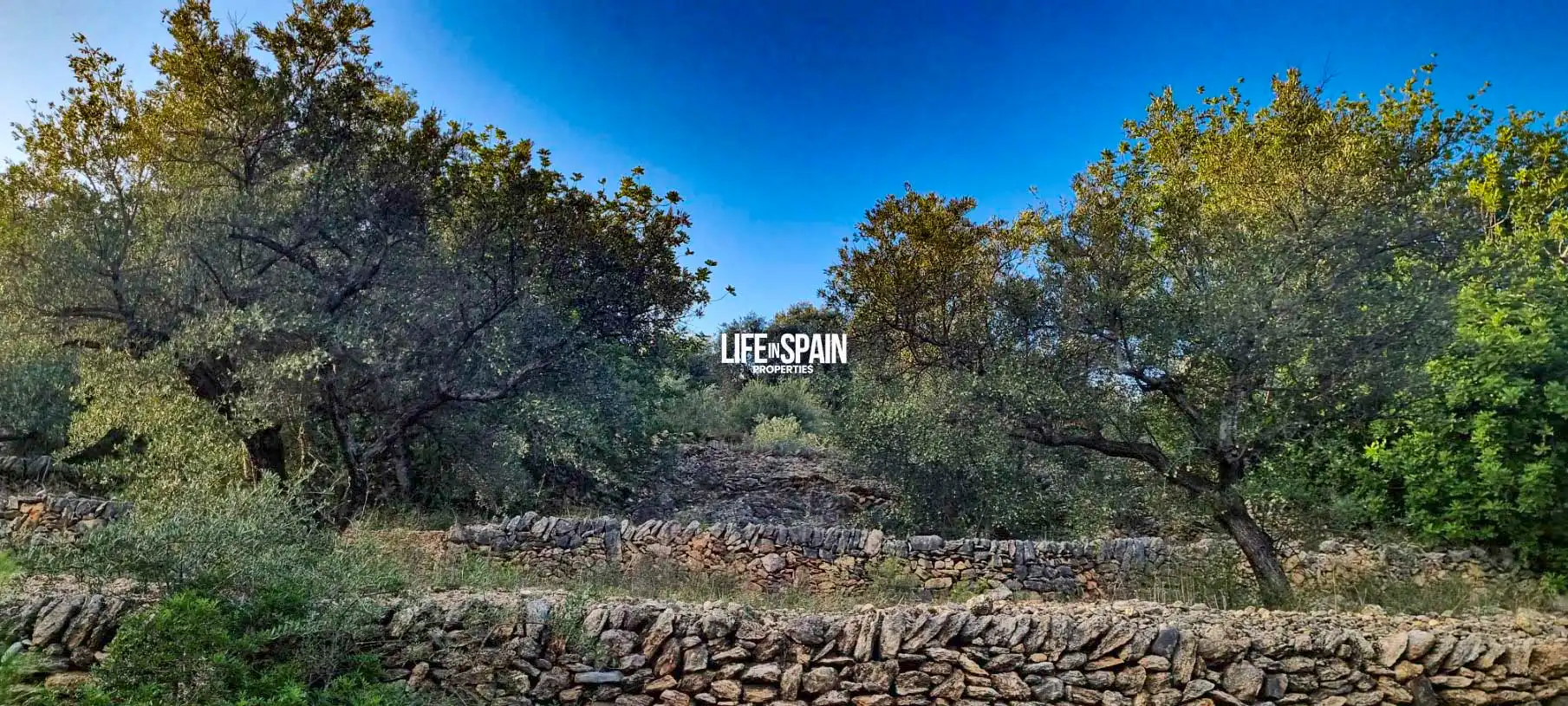 Vista exterior de Finca rústica en venda en Roquetes amb Jardí privat i Piscina