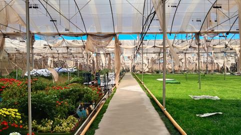 Photo 2 of Country house for sale in La Aldea de San Nicolás , Las Palmas