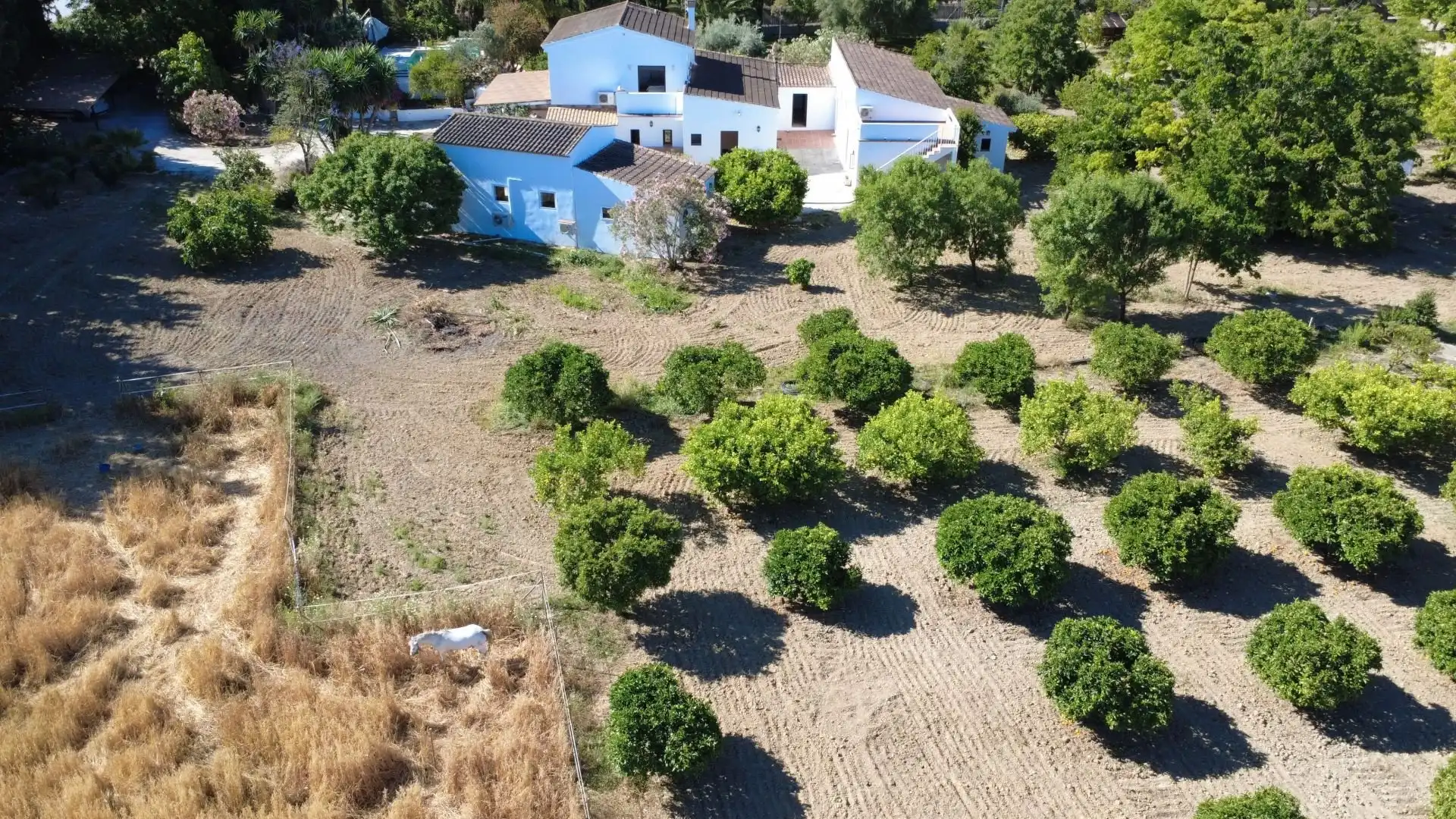 Casa rústica en venta en Centro, imagen 30