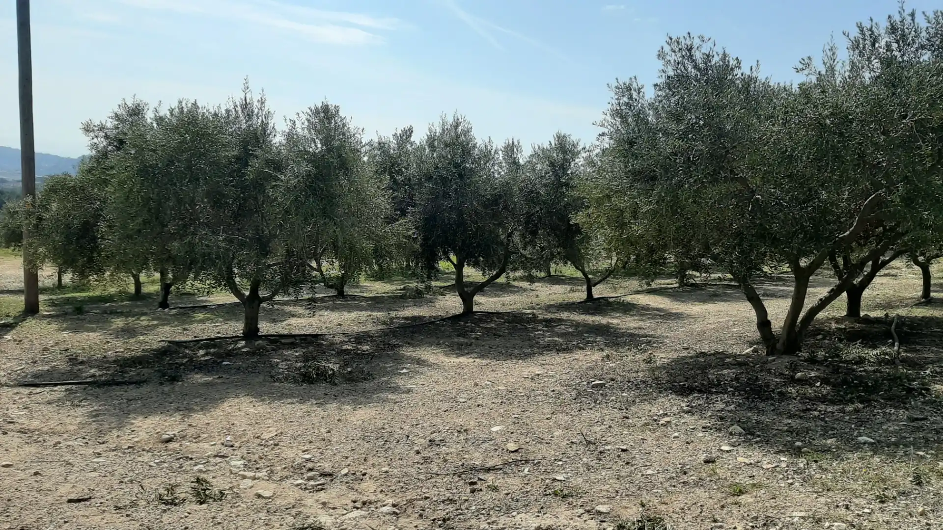 Rural land for sale in N/A, imagen 7