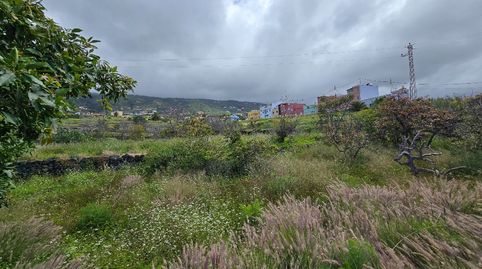 Foto 3 de Terreno en venta en Tf-322, 11a, La Perdoma - San Antonio - Benijos, La Orotava