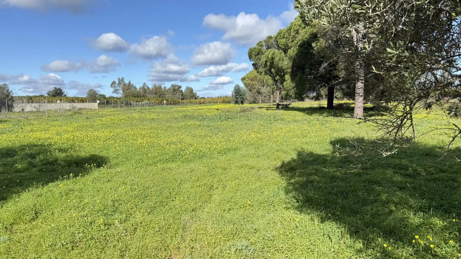 Country homes for sale in Gibraleón