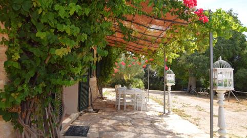 Foto 3 de Finca rústica en venta en Calle Diseminados Var, 619, Muro, Illes Balears