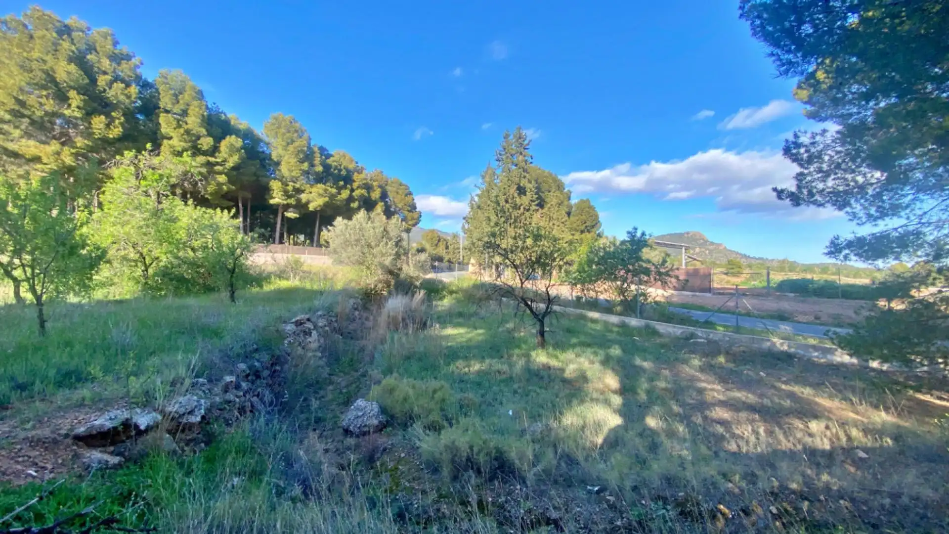 Casa o xalet en venda en Totana amb Jardí privat i Moblat