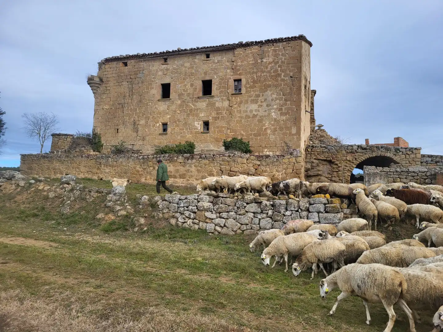 Vista exterior de Terreno en venta en Pinell de Solsonès