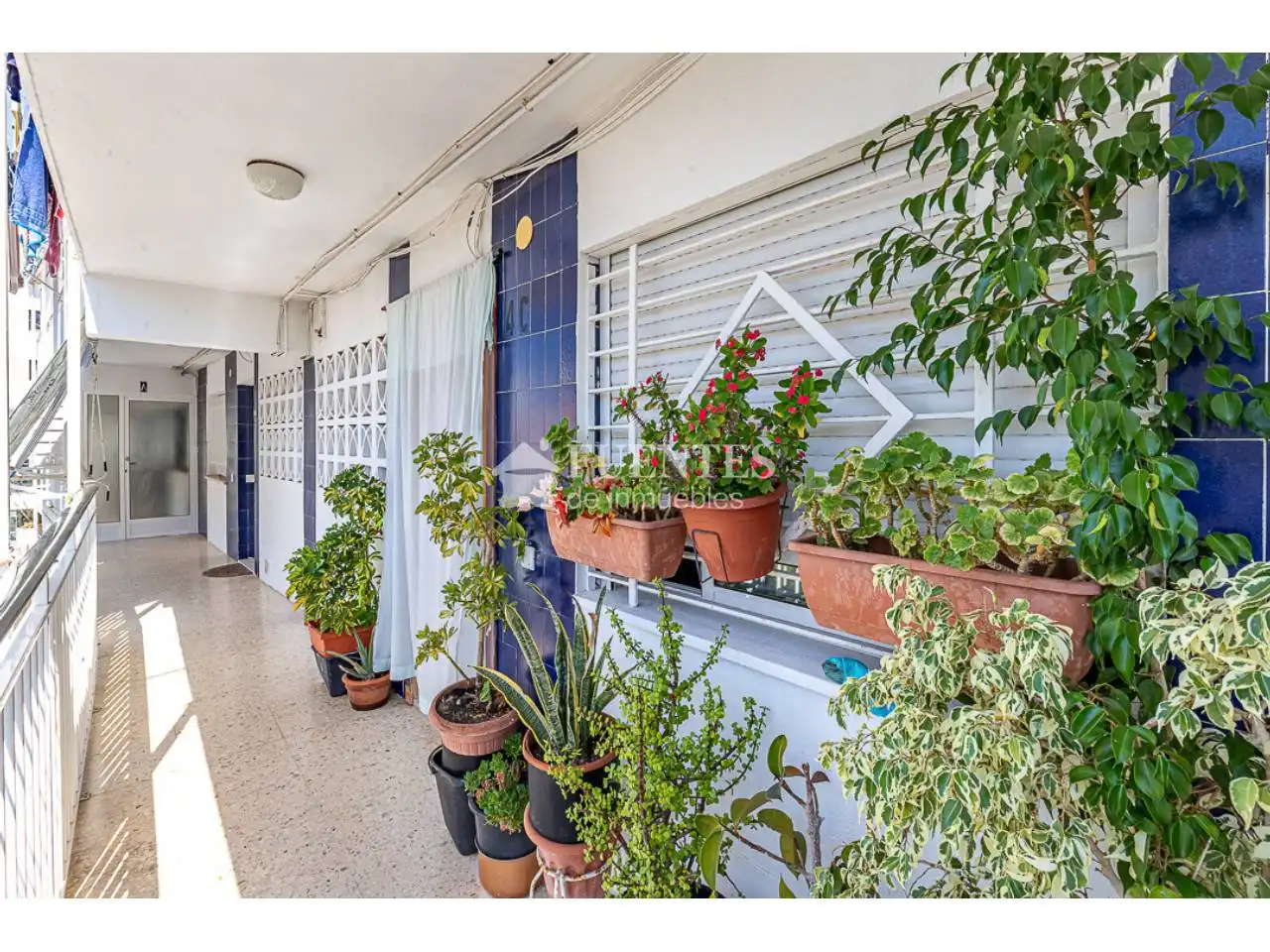 Balcony of Flat for sale in Alicante / Alacant  with Furnished, Balcony and Alarm