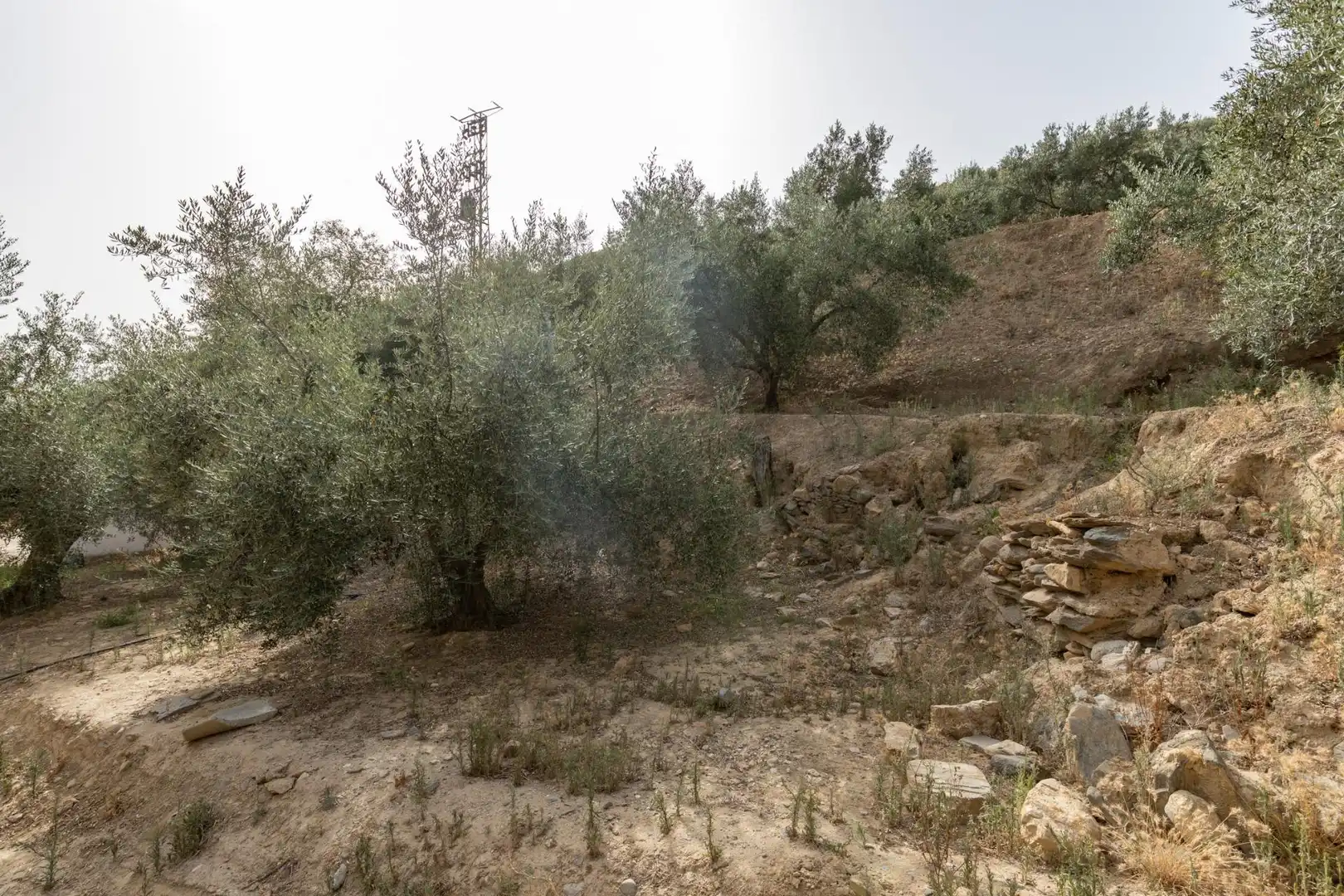 Land for sale in Lecrín