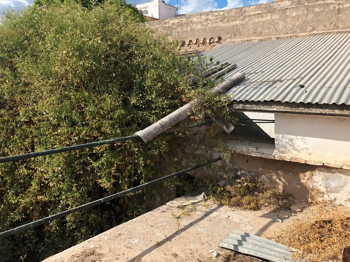 Vista exterior de Casa o xalet en venda en El Carpio amb Terrassa