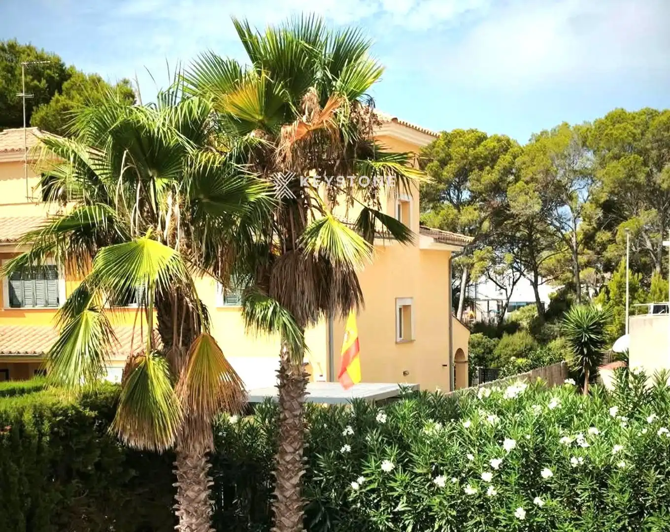 Houses for rent in CALLE DEL FALCÓ, 52, Maioris-Puig de Ros
