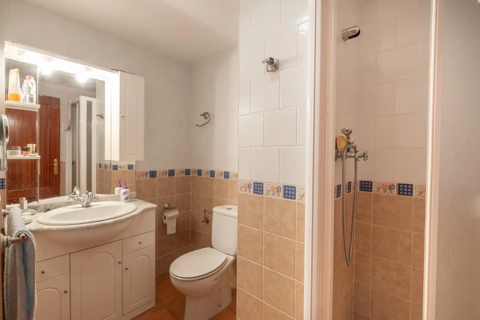 Bany de Casa o xalet en venda en Morelábor amb Terrassa i Traster