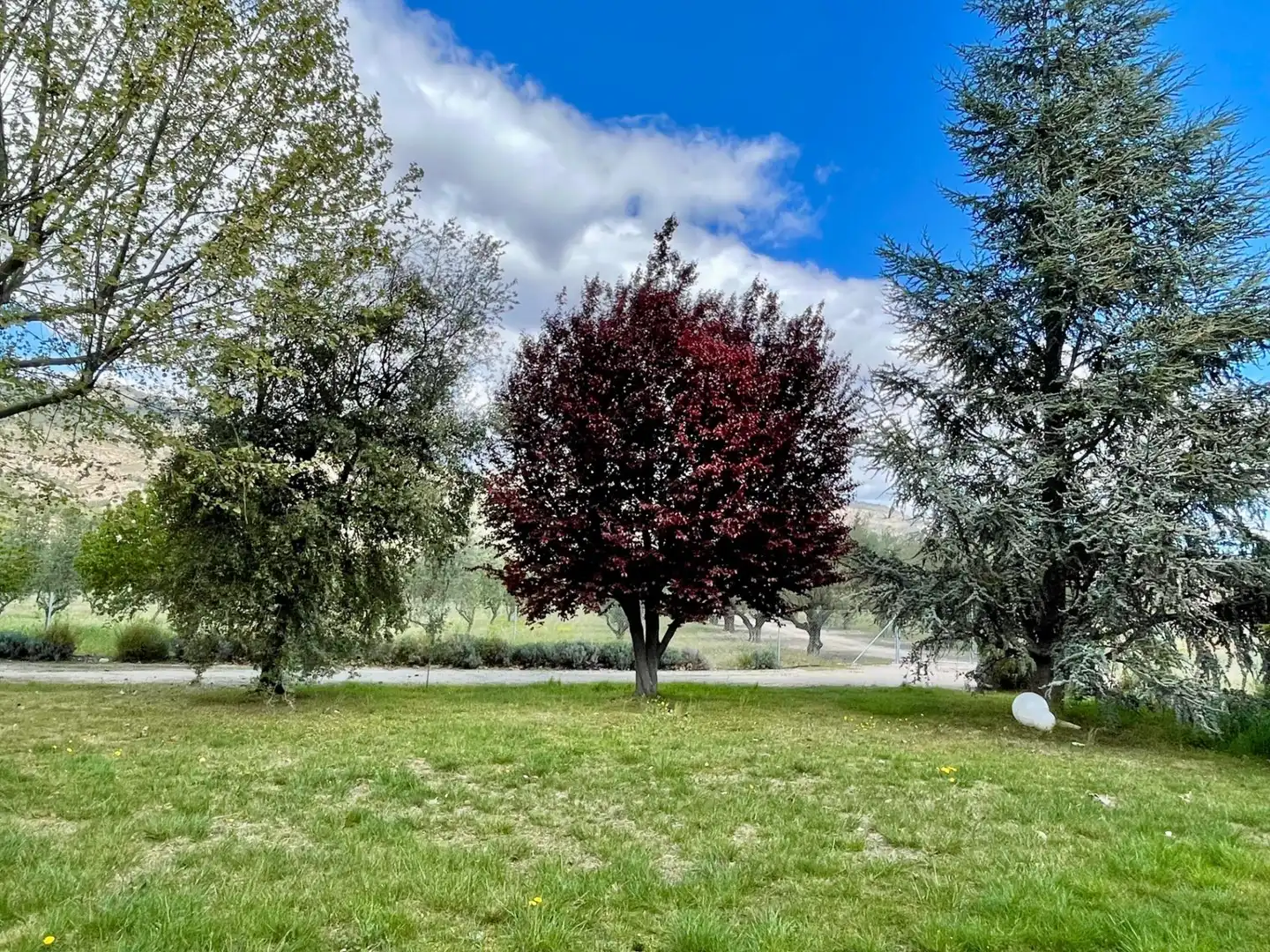 Houses for rent in Castalla  with Heating, Private garden and Terrace