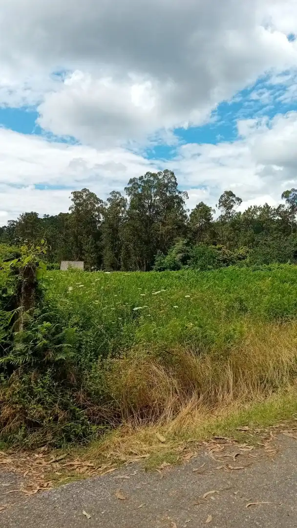 Terrenys i solars en venda a Salvaterra de Miño, imagen 9