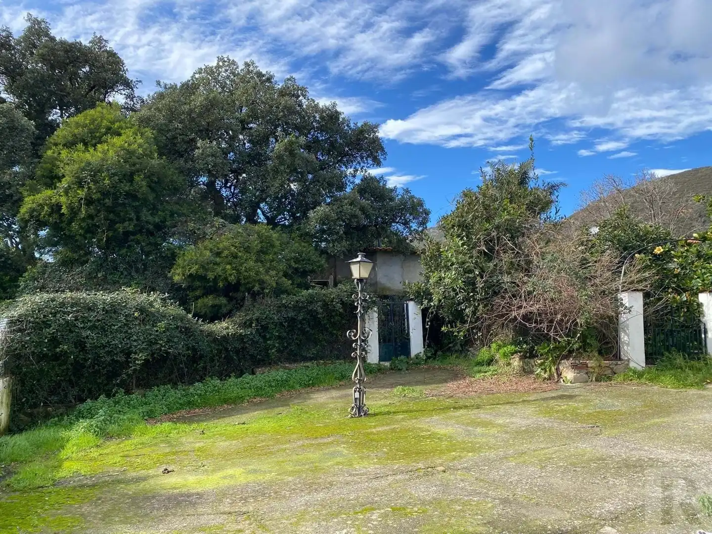 Haus zum Verkauf in Área "El Bornizo" . Lugar El Bujeo Tarifa CADIZ, imagen 44