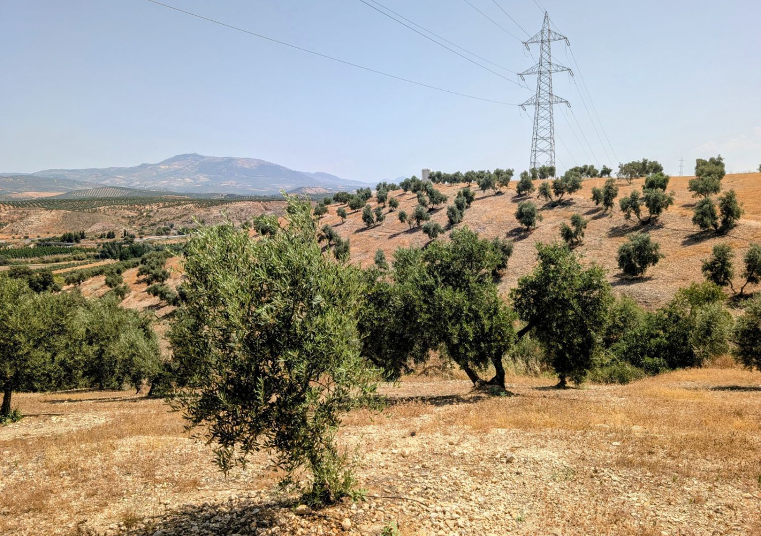 Country house for sale in 5, parcela 93, Las Caras de Cacín