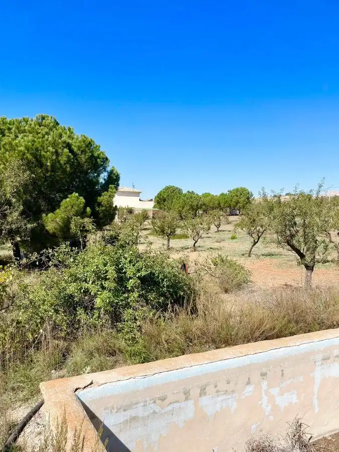 Residential land for sale in Vélez-Rubio, imagen 8