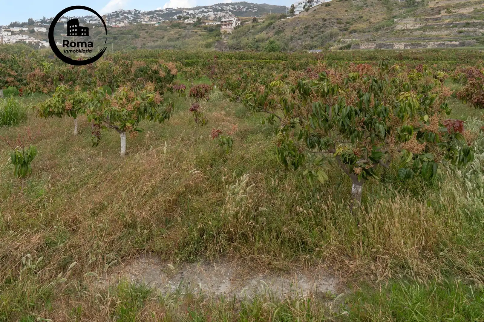 Terreni e lotti in vendita a CARRETERA MALAGA (CAL) 74, imagen 69