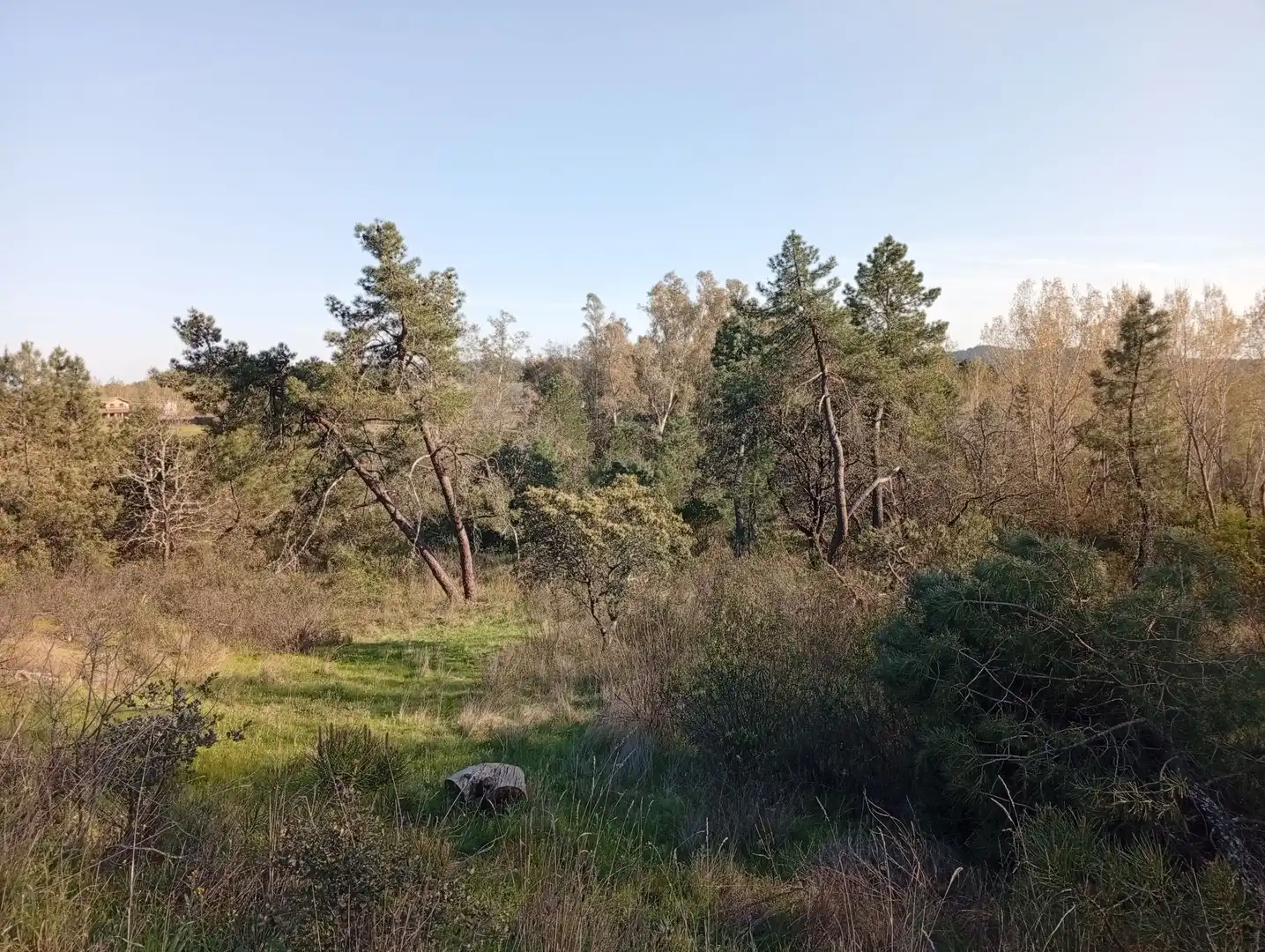 Terreni e lotti in vendita a Villanueva de la Vera, imagen 21