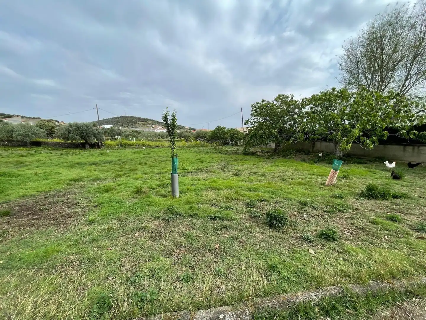 Casa en venda a Sierra de Fuentes, imagen 24