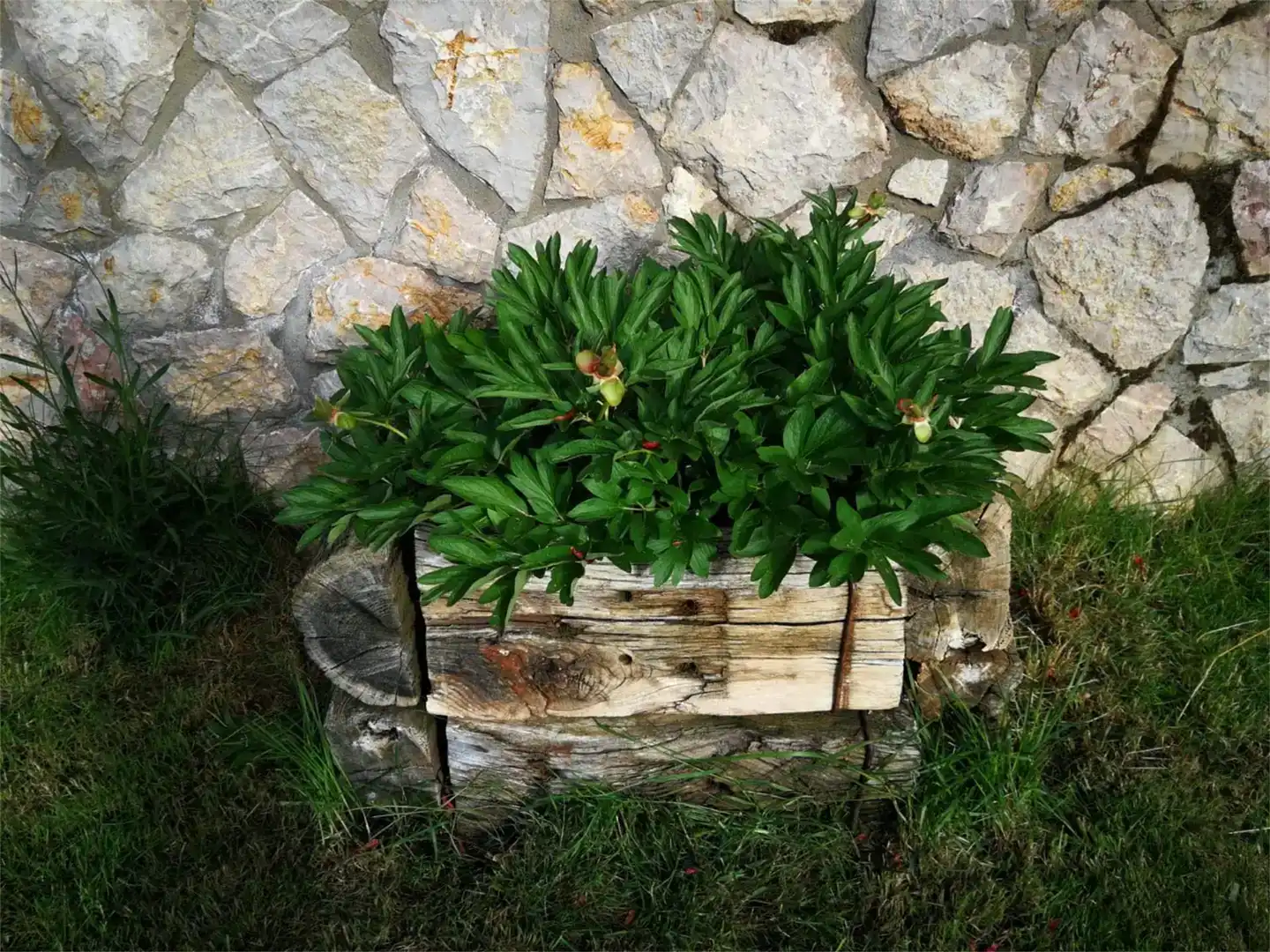 Jardí de Planta baixa en venda en Valverde de la Virgen