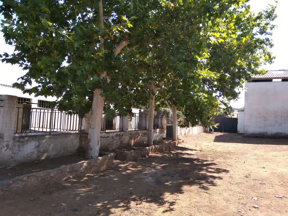 Finca rústica en venda a Ciudad Jardín