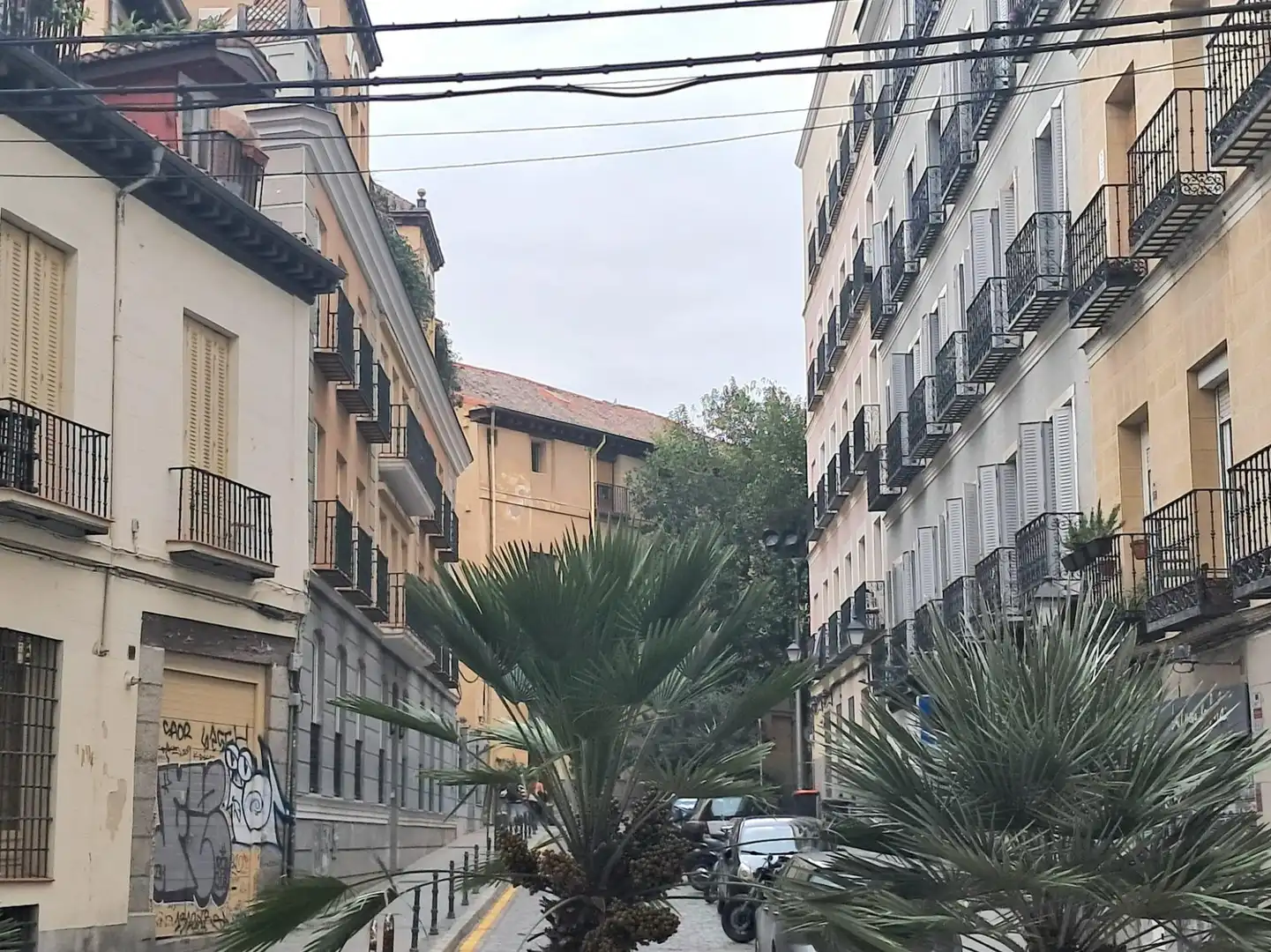 Pis amb terrassa en venda a Centro, imagen 49