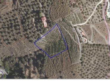 Terreno rustico in vendita a Diseminado Diseminados 245