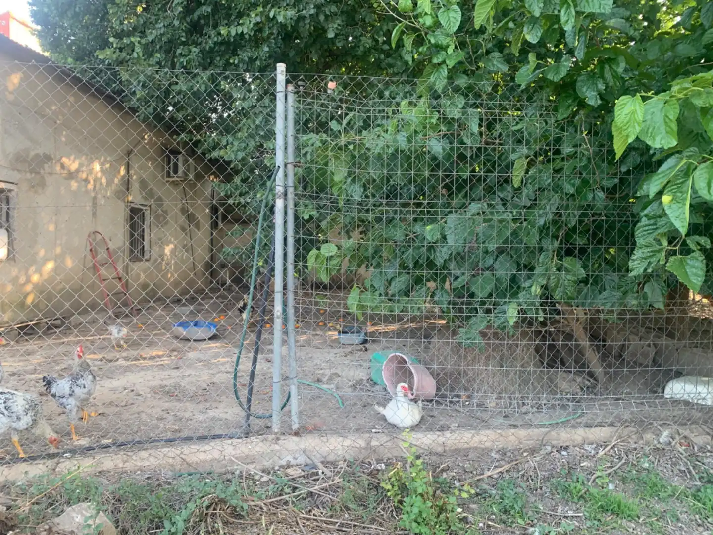 Finca rústica en venda a Alquerías
