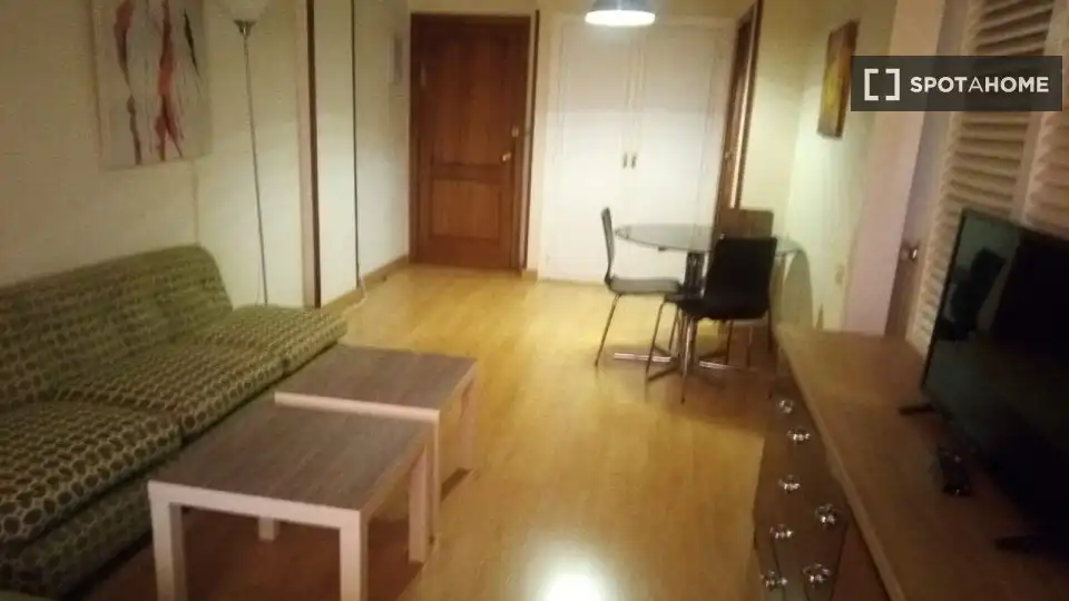 Sala de estar de Piso de alquiler en Madrid con Aire acondicionado, Calefacción y Amueblado