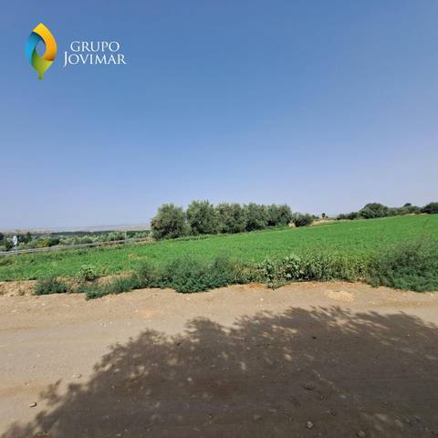 Terreno en Venta en Guadix